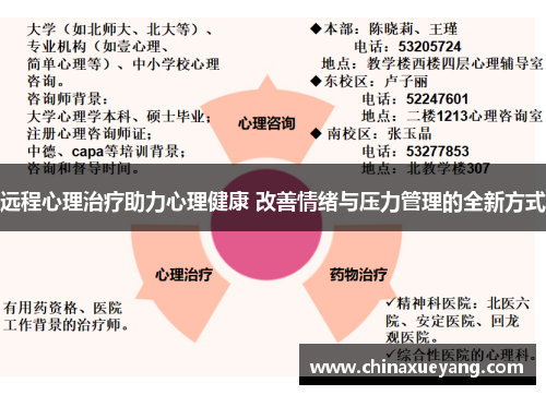 远程心理治疗助力心理健康 改善情绪与压力管理的全新方式